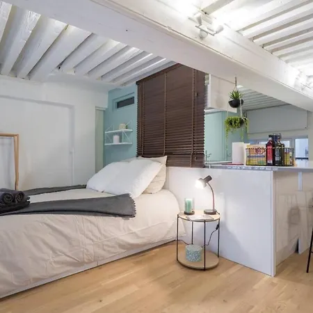Apartman Elegant Loft - 4 People - Place Sathonay