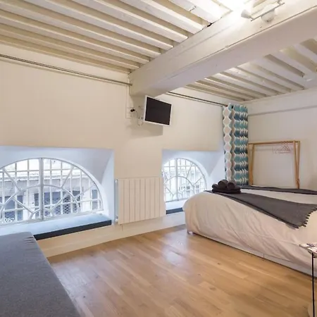 Elegant Loft - 4 People - Place Sathonay Lyon