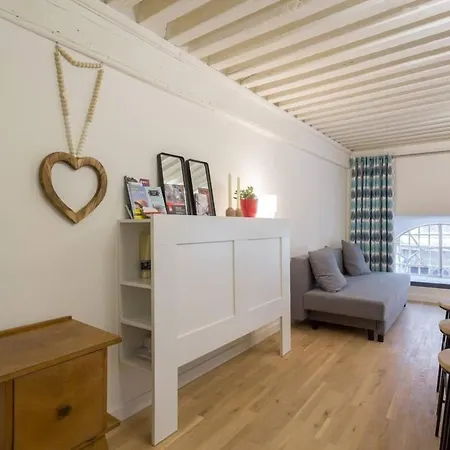 Elegant Loft - 4 People - Place Sathonay Daire *