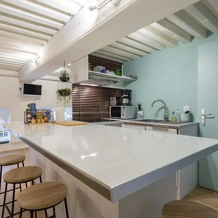 Elegant Loft - 4 People - Place Sathonay Daire Lyon